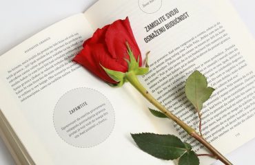 A vibrant red rose placed on the pages of an open book, offering a peaceful and romantic aesthetic.